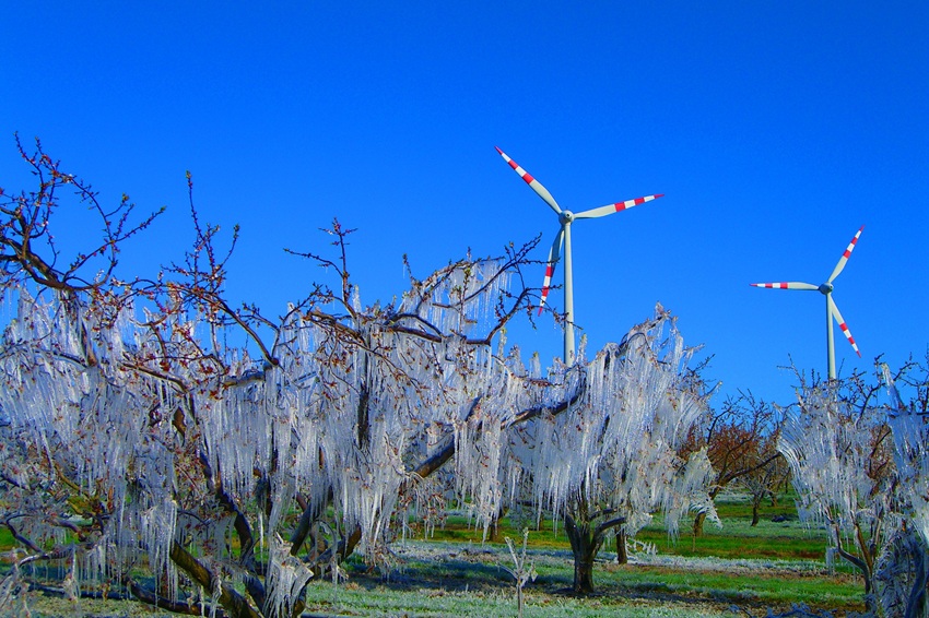 GWU Wind Flyer